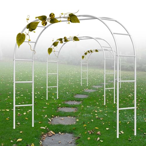 バラの飾り物2種類 プリザーブドフラワーFiNE プリフラS 人気 花 ギフト プレゼント